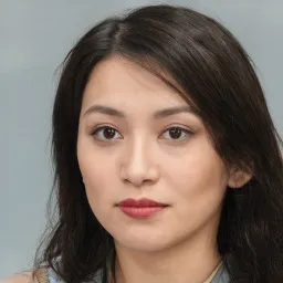 Trịnh Công Sơn avatar